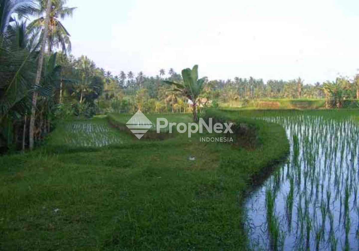 Ubud Bali
